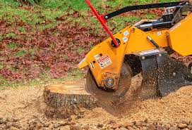 Best Soil Testing and Treatment  in Alice, TX
